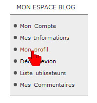 mon_blog_boite-profil