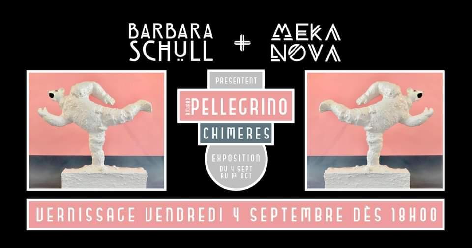 Richard Pellegrino Chimeres