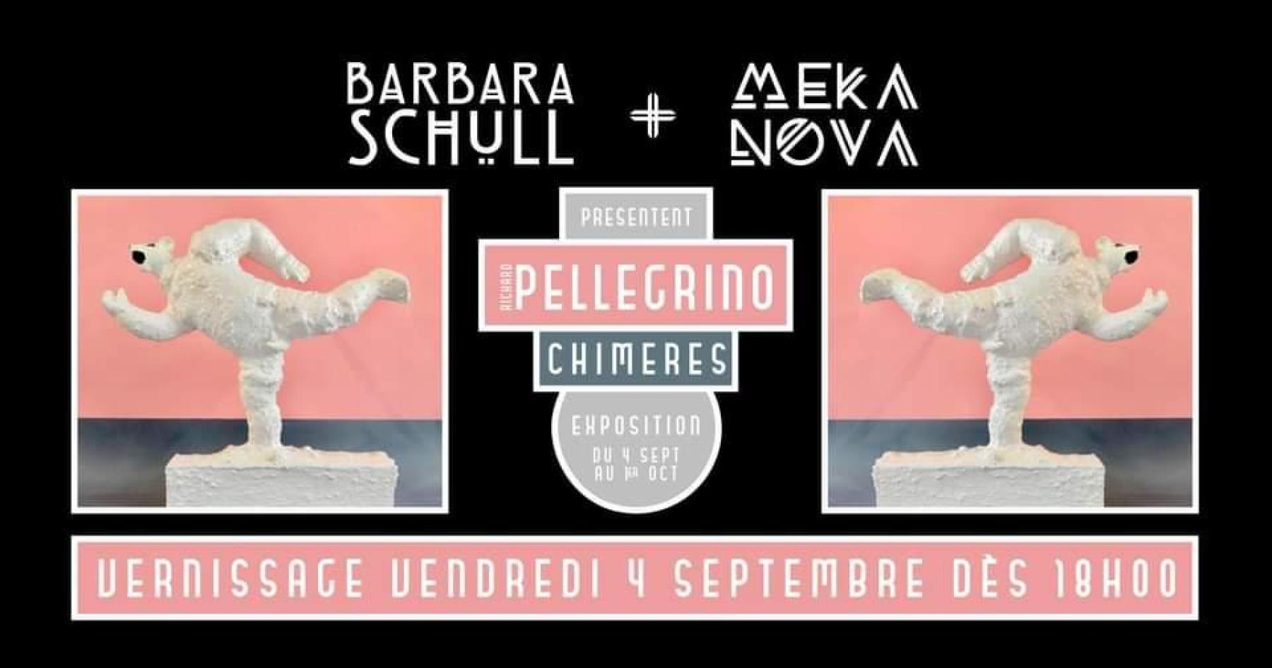 Richard PELLEGRINO : exposition 