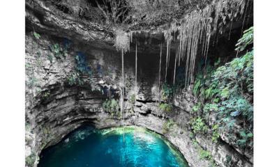 Moss expose à Carros, Médiathèque André Verdet, du 28 mai au 16 juin 2025,