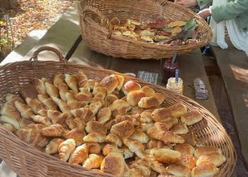 Petit-déjeuner à l'Arboretum
