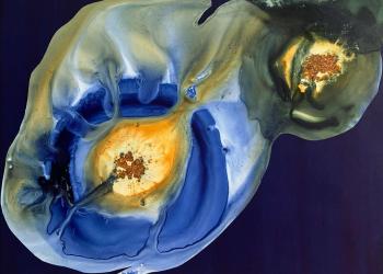 24.11 Au sein de l'étoile bleue 3