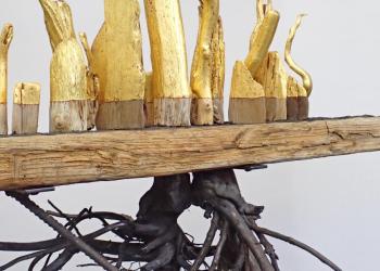 Ombre et lumière : 2020. 