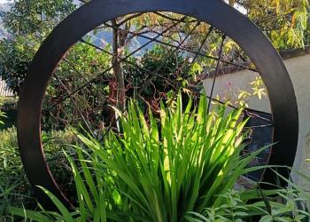 Arachnéenne ( 2024 )