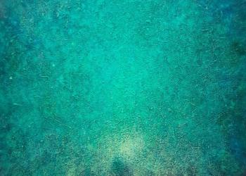 la naissance du monde