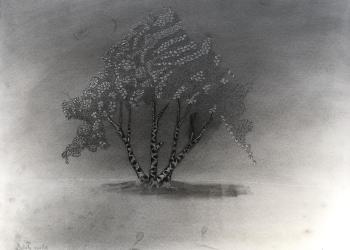 Arbre 