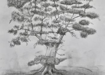 Arbre 